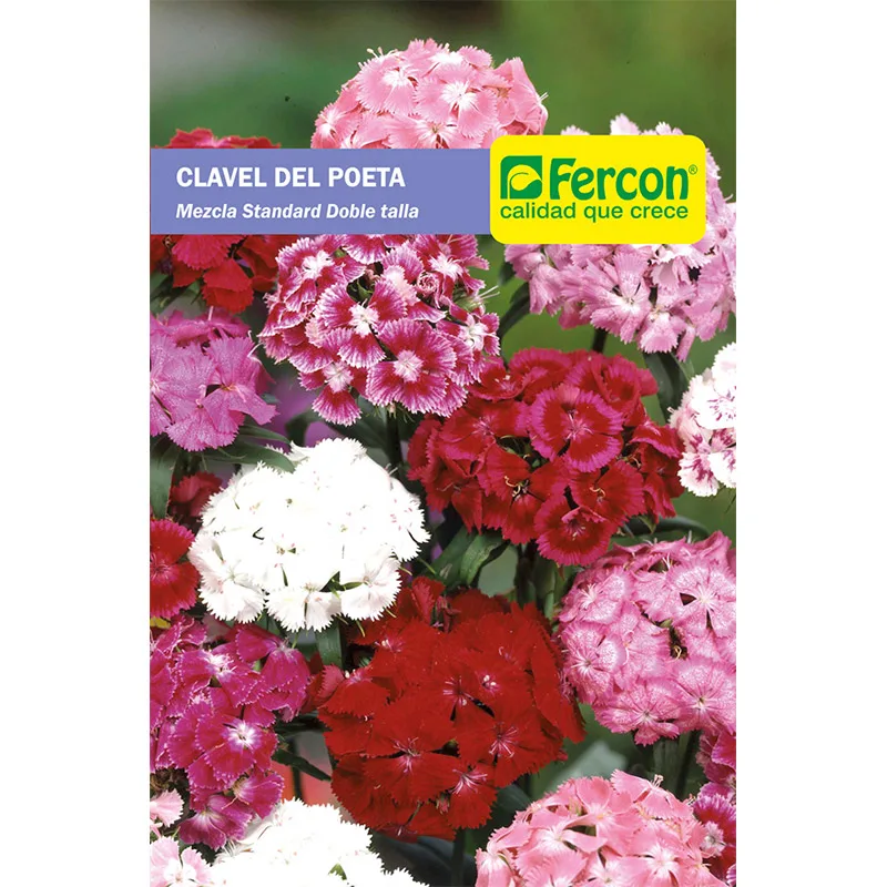 CLAVEL DEL POETA DOBLE MEZCLA  5620