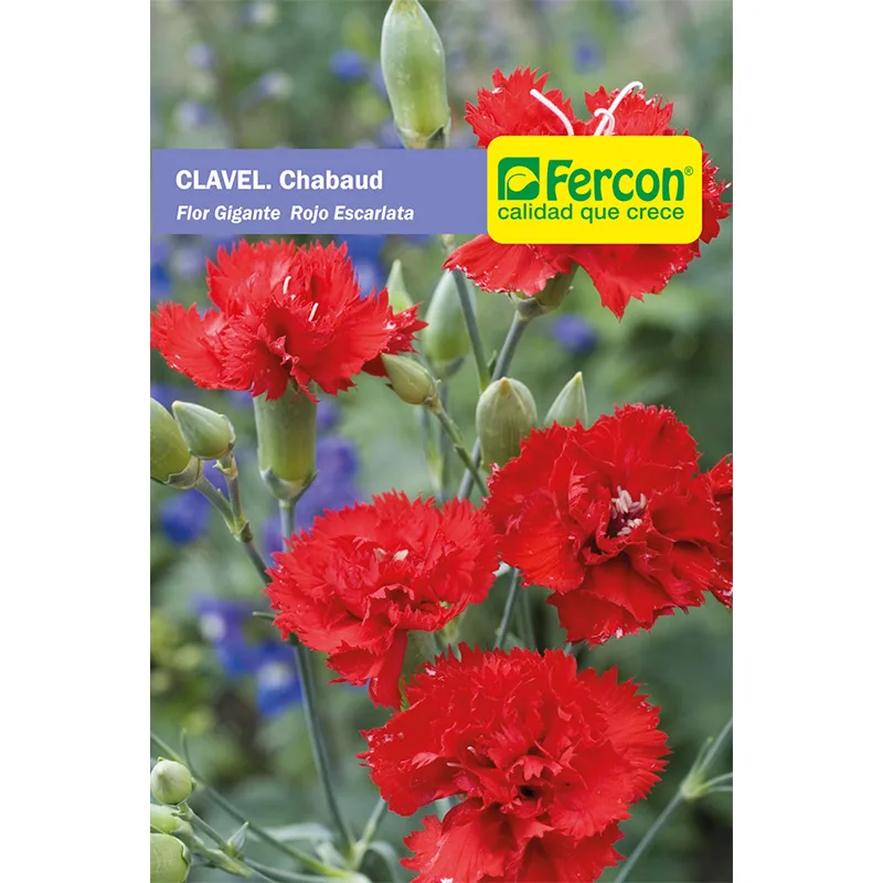 CLAVEL CHABAUD GIG. ROJO ESCAR 5660