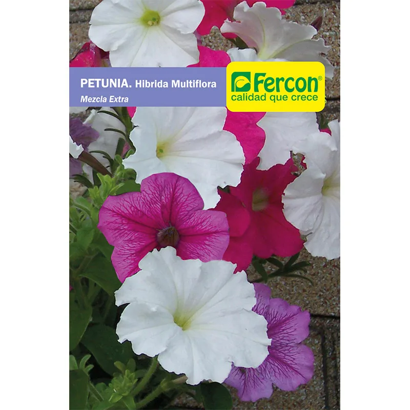 PETUNIA HIBRIDA MULTIFLOR      6230