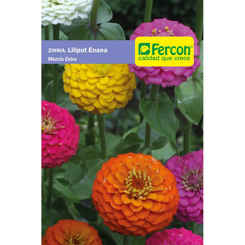 ZINNIA LILIPU ENANA MEZCLA        6820