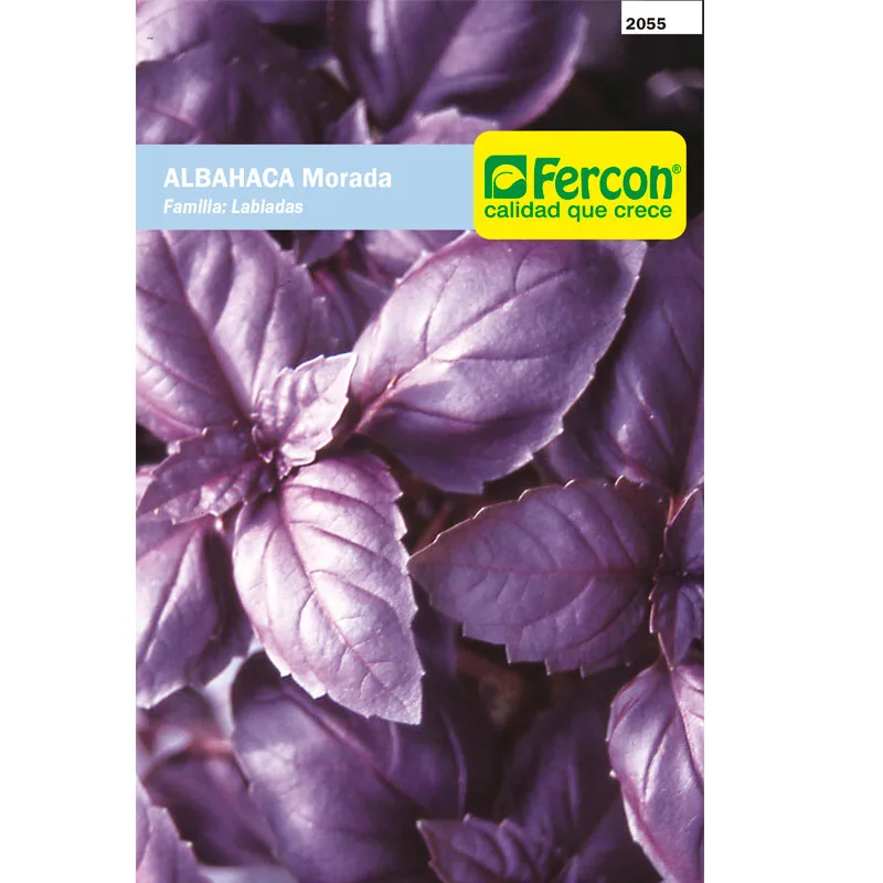 ALBAHACA MORADA OPALO      2055