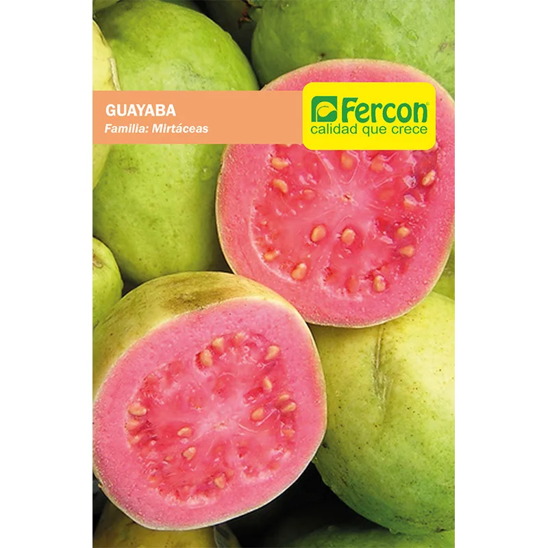 GUAYABA ROJA
