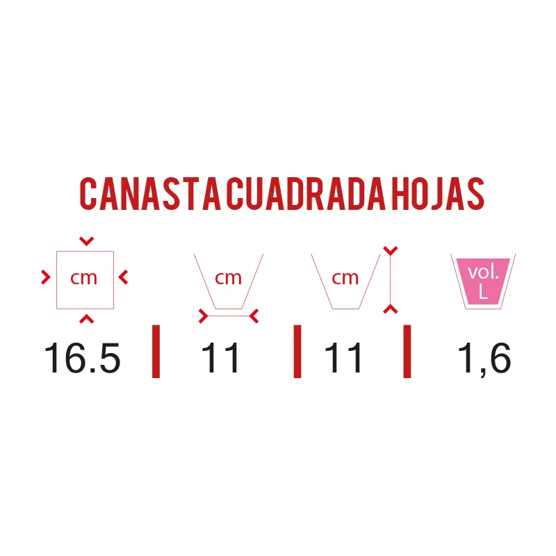 NIDO COCO CUADRADO # 18 (U.D. 4) - Image 2