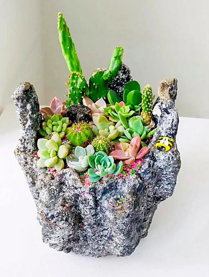 Mini jardín de duendes con cactus y suculentas en una maceta artesanal hecha a mano. Decoración única y mágica para interiores y exteriores